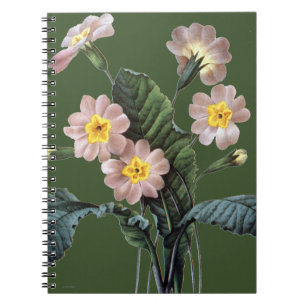 Primrose (Primula Aucalis) Notitieboek