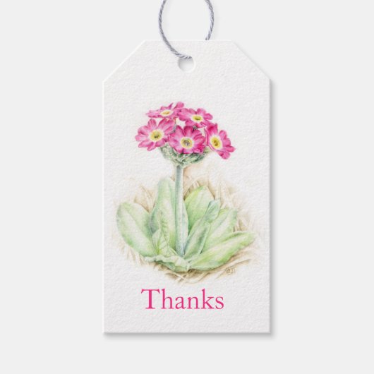 Primrose waterverf fijne kunst bedankt jullie labe cadeaulabel (Voorkant)