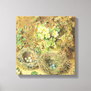 primroses en vogelnesten canvas afdruk