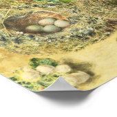 primroses en vogelnesten poster (Hoek)