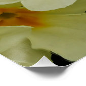 Primroses-Poster Perfect Poster (Hoek)