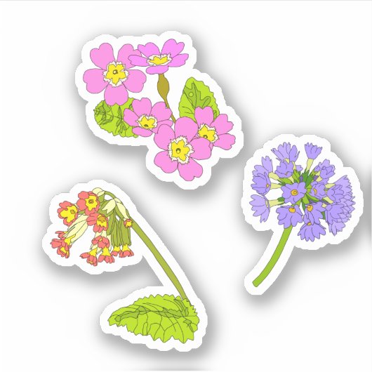 Primroses Sticker (Voorkant)