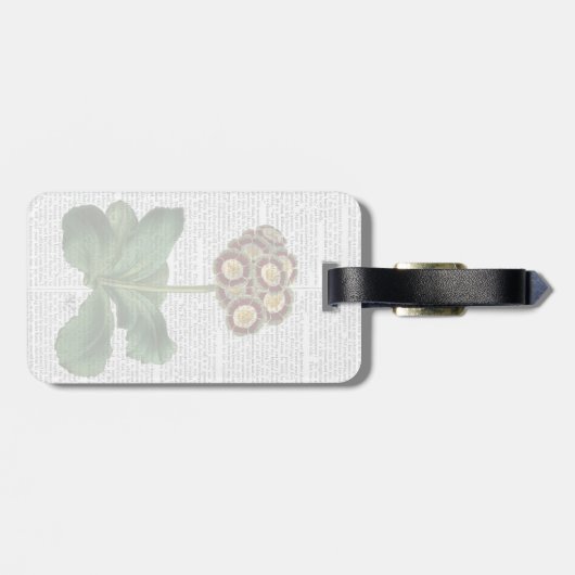 Primula Auricula Red Bagagelabel (Achterkant horizontaal)