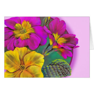 Primula primrose jaune rose