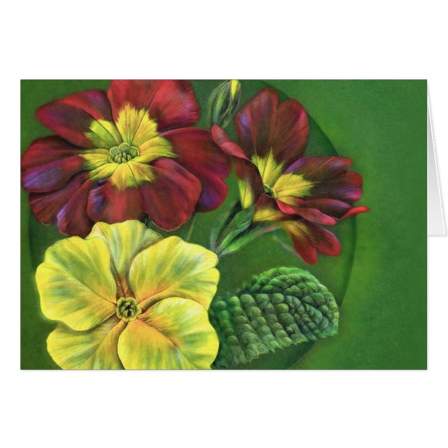 Primula primrose-schilderij (Voorkant Horizontaal)
