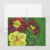 Primula primroses spring briefkaart (Voorkant / Achterkant)