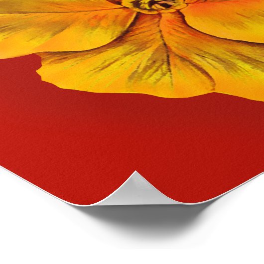 Primula rood en geel botanisch poster met fijne ku (Hoek)