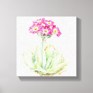 Primula roze canvas fine art wrap print