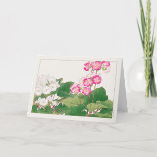 Primula van Tanigami Konan Kaart