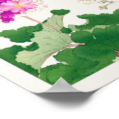 Primula van Tanigami Konan Poster (Hoek)