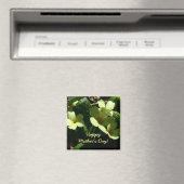 Primula vulgaris Primrose Aimant de la fête des mè (In Situ (Lave-vaisselle))