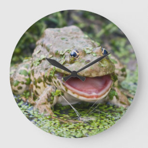 Prince Grenouille Horloge