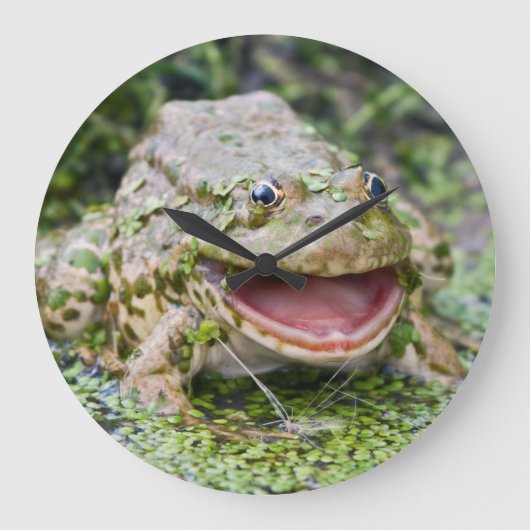Prince Grenouille Horloge (Recto)