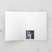 Prince la carte nuthatch (Intérieur)