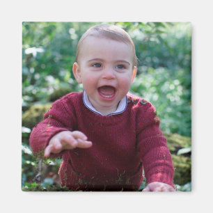 Prince Louis viert 1 verjaardag Magneet