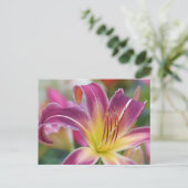 Prince of Paars - Daylily Briefkaart (Staand voorkant)