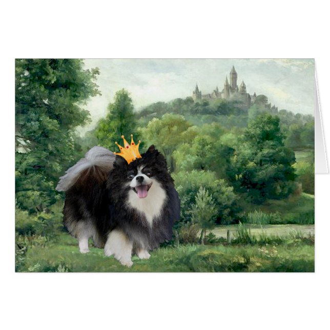 Prince Pomeranian noir (Devant horizontal)