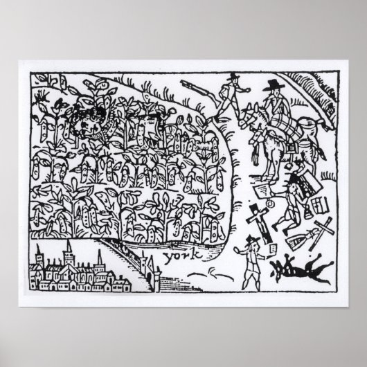 Prince Rupert Hiding in een Bean Poster (Voorkant)