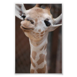 Princess 4X6 Print #1 Foto Afdruk