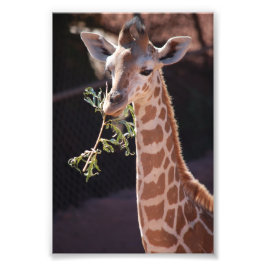 Princess 4X6 Print #2 Foto Afdruk