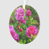 Princess Anne Roos #2-1 Ornament (voorkant)