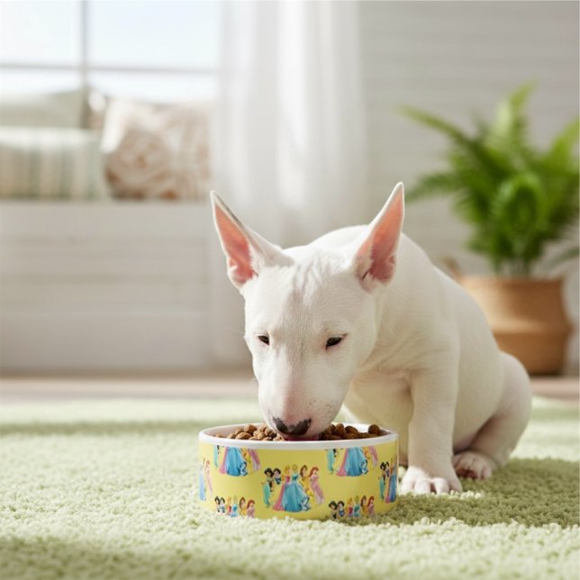 Princess Bowl Voerbakje (Creator heeft geüpload)