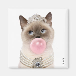 Princess Cat Bgloebel gom Magneet