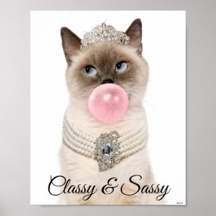 Princess Cat Bgloebel gom Poster