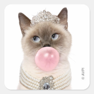 Princess Cat Bgloebel gom Vierkante Sticker