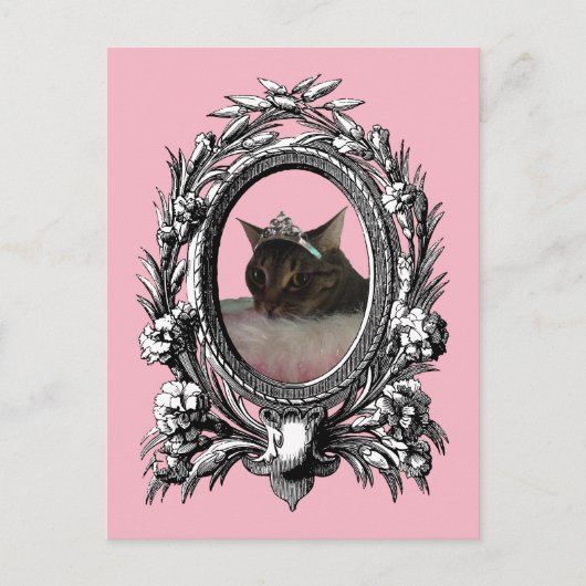 Princess Cat  Lijst roze achtergrond Briefkaart (Voorkant)