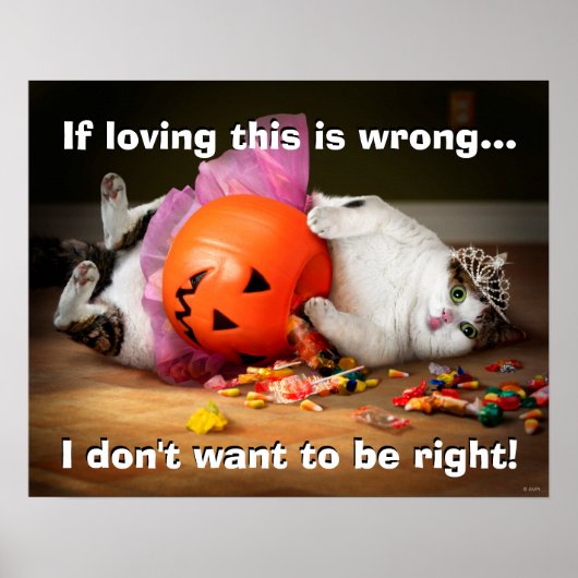 Princess Cat met Snoep Bucket Poster (Voorkant)