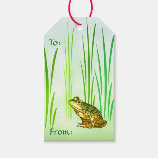 Princess Charming Frog Pack of Gift Labels Cadeaulabel (Voorkant)