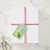 Princess Charming Frog Pack of Gift Labels Cadeaulabel (Met Touw)