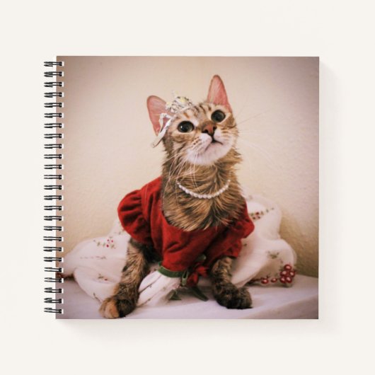 Princess Clover Notitieboek (Voorkant)