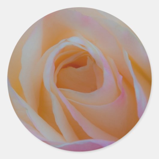 Princess Diana Roos Ronde Sticker (Voorkant)