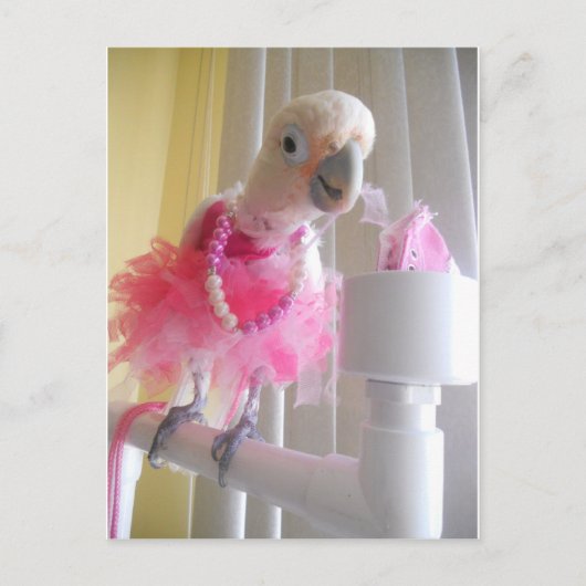 Princess Ella Briefkaart (Voorkant)