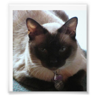 Princess Foto Afdruk