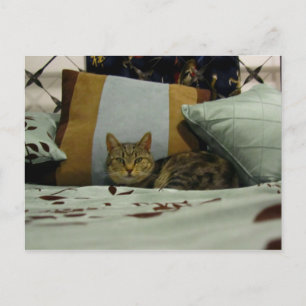 Princess Indigo Briefkaart