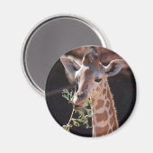 Princess Magnet #2 Magneet (Voorkant / Achterkant)