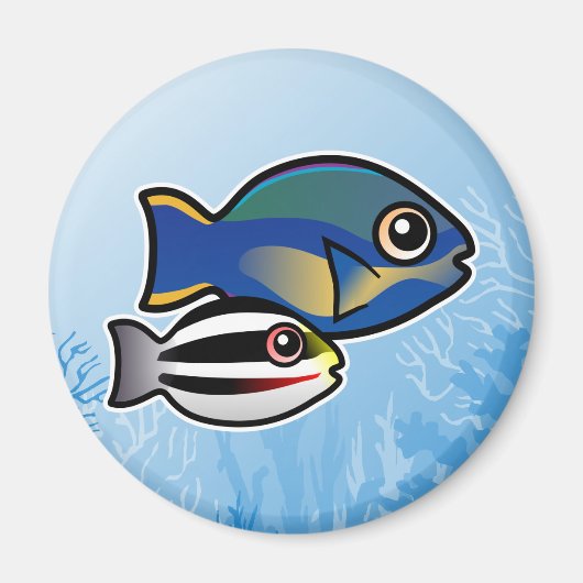 Princess Parrotfish Magneet (Voorkant)