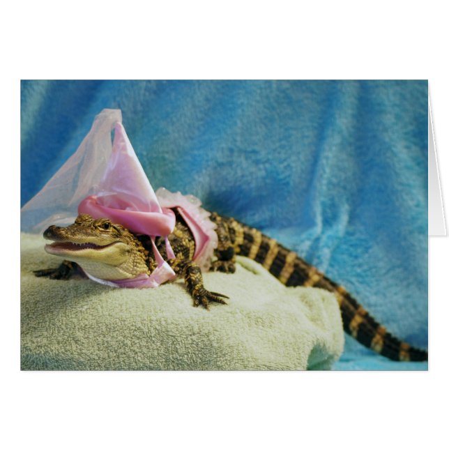 Princess Penny Cards (Voorkant Horizontaal)