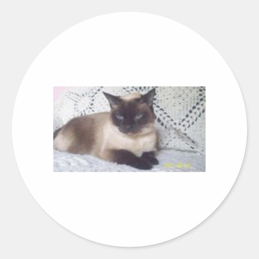 Princess Ronde Sticker (Voorkant)