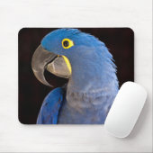 Princess Tara Mousepad Muismat (Met muis)