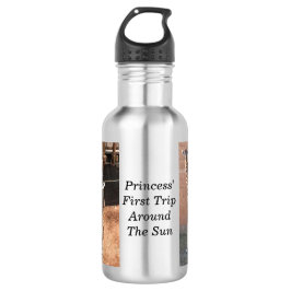 Princess Water Bottle Waterfles