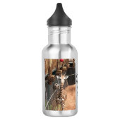 Princess Water Bottle Waterfles (Links)