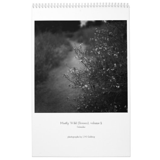 Principalement Wild (fleurs), volume 2, Calendrier (Protection)