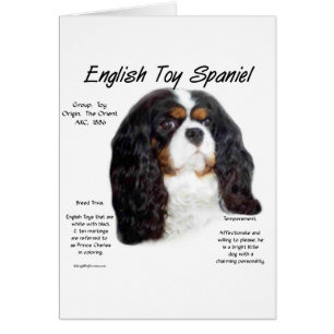 Prins Charles Engels Speelgoed Spaniel Geschiedeni