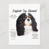 Prins Charles Engels Speelgoed Spaniel Geschiedeni