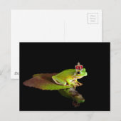 Prins kikker briefkaart (Voorkant / Achterkant)