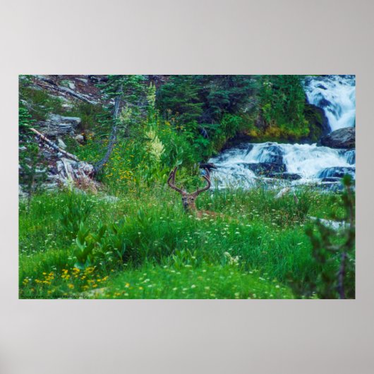 Prins van het bos poster (Voorkant)